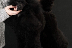 16359198_10208300967021892_2052292959_n