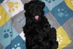 123508824_1452163801655410_3244921307387407548_n