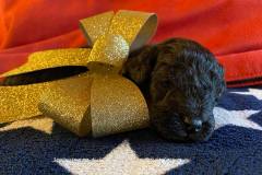 131132470_1484813178390472_5298262408549469419_n