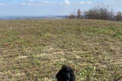 151627569_1530245257180597_2891558183099783595_n