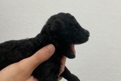 162855844_1551299971741792_4471612215651253594_n