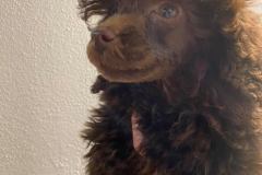 167591026_1558717940999995_7281773860594213679_n