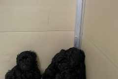 311726409_562629085867719_6836726557485040928_n